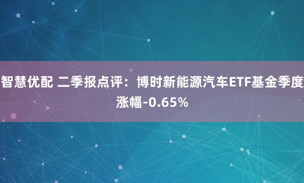 智慧优配 二季报点评：博时新能源汽车ETF基金季度涨幅-0.65%