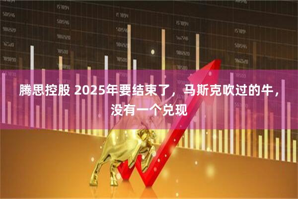 腾思控股 2025年要结束了，马斯克吹过的牛，没有一个兑现
