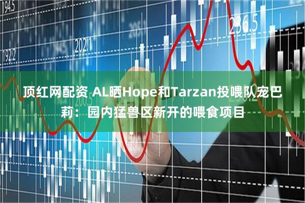 顶红网配资 AL晒Hope和Tarzan投喂队宠巴莉：园内猛兽区新开的喂食项目